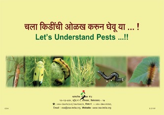 Cover of Let us Understand Insect Pests