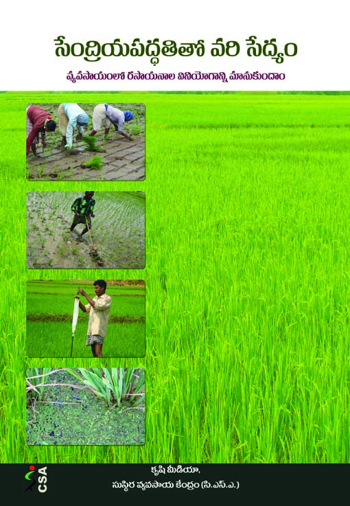 Cover of సేంద్రియ పద్ధతిలో వరి సేద్యం