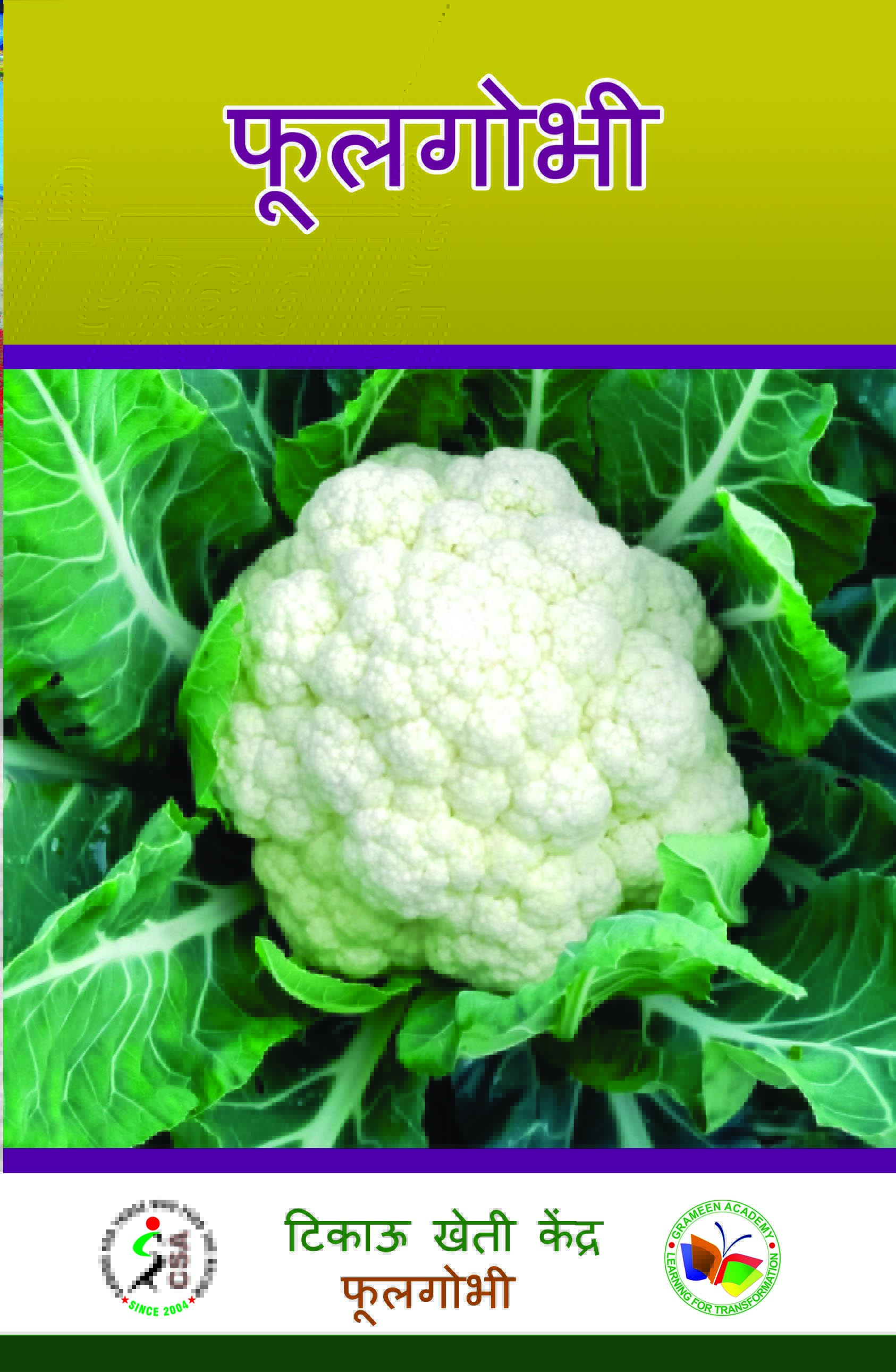 Cover of फूलगोभी