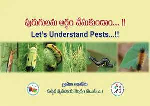 Cover of Insect Pests and their Organic Management