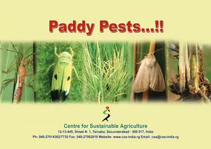 Cover of Rice Pests and their management